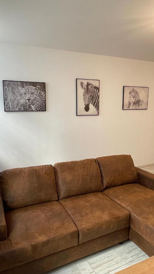 Tous'O'Zoo, Au Coeur Du Centre-Ville Saint-Aignan  Bagian luar foto