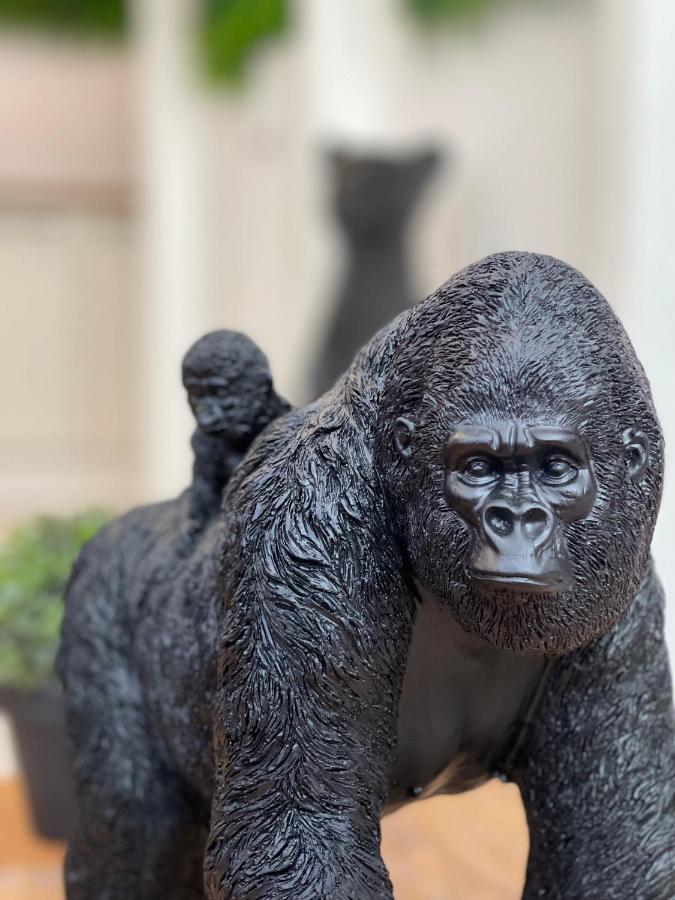 Tous'O'Zoo, Au Coeur Du Centre-Ville Saint-Aignan  Bagian luar foto