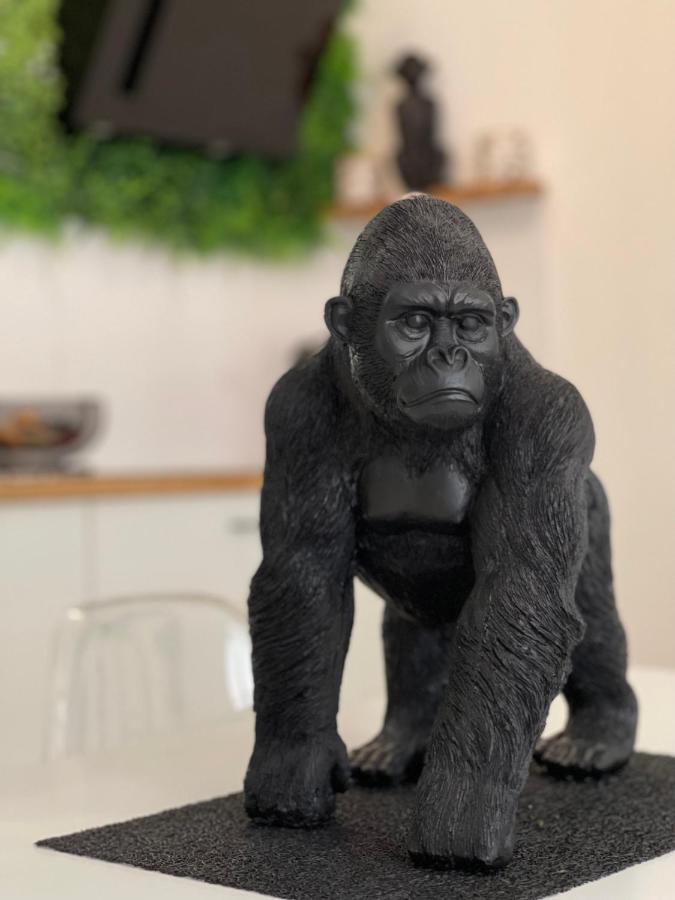Tous'O'Zoo, Au Coeur Du Centre-Ville Saint-Aignan  Bagian luar foto
